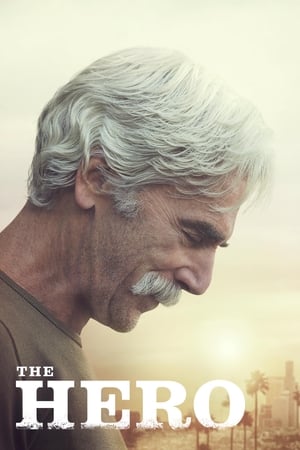 The Hero (2017) Hindi Movie 720p HDRip x264 [840MB]